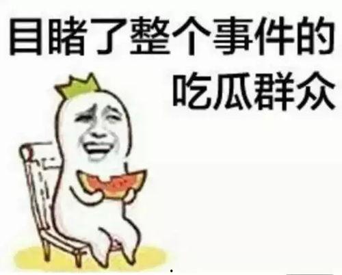 娱乐吃瓜酱你养过什么小众的,揭秘我那些不为人知的小众宠物