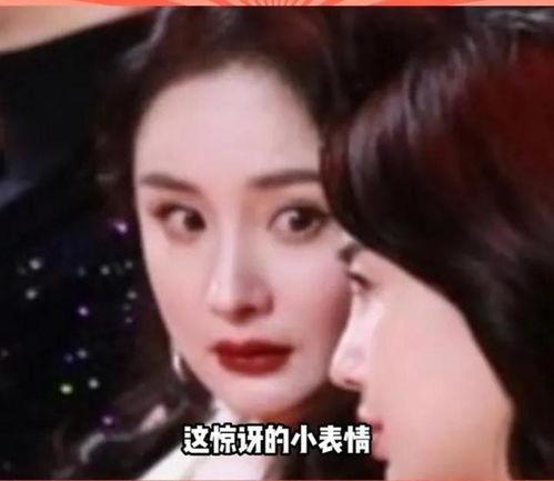 关于娱乐圈吃瓜的小说